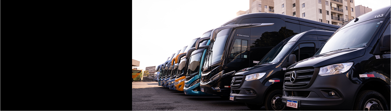 Imagem dos tipos de veículos da Squad