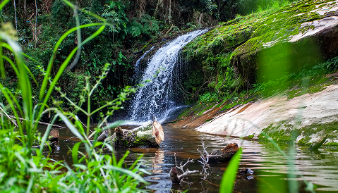 Vista aérea da Reserva Águia Branca